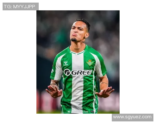 火箭主帅戴安东尼因伤退出赛季,球队未来何去何从?